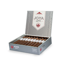 Load image into Gallery viewer, Joya Silver