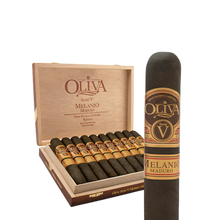 Load image into Gallery viewer, Serie V Melanio (10)