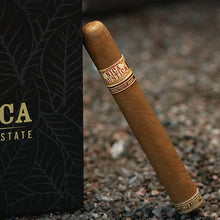 Load image into Gallery viewer, NICA RUSTICA - SHADE - 25/Box