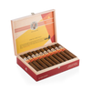Syncro Nicaragua Fogata