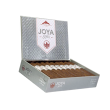 Load image into Gallery viewer, Joya Silver
