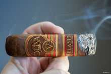 Load image into Gallery viewer, Serie V Melanio (10)
