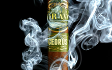 Load image into Gallery viewer, CEDRUS (MED +)
