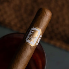 Load image into Gallery viewer, UNDERCROWN - SHADE
